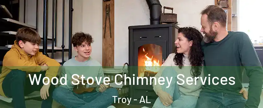  Wood Stove Chimney Services Troy - AL