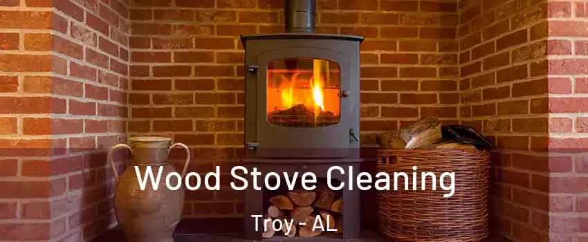  Wood Stove Cleaning Troy - AL